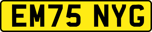 EM75NYG