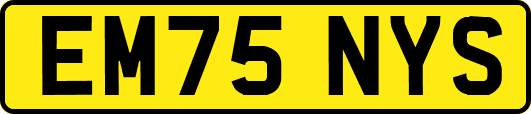 EM75NYS