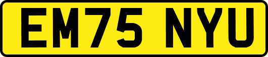 EM75NYU
