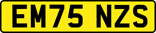 EM75NZS