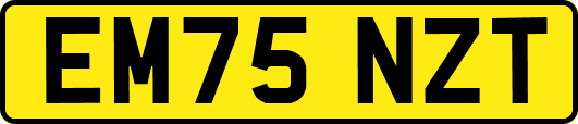 EM75NZT