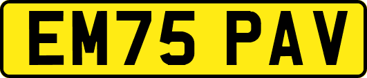 EM75PAV
