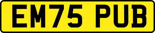 EM75PUB