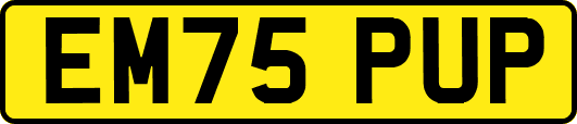 EM75PUP