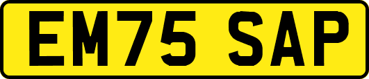 EM75SAP