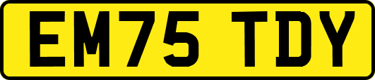 EM75TDY