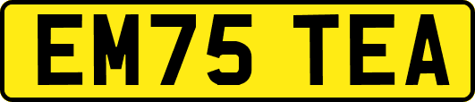 EM75TEA