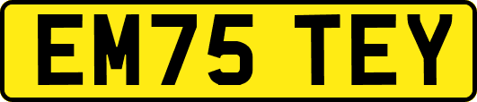 EM75TEY