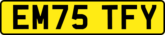EM75TFY