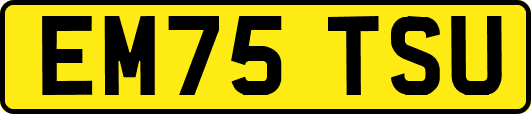 EM75TSU
