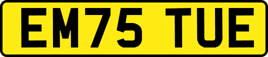 EM75TUE