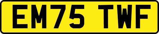 EM75TWF