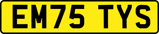 EM75TYS