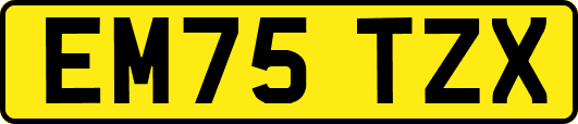 EM75TZX
