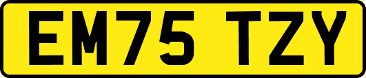 EM75TZY