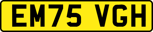 EM75VGH