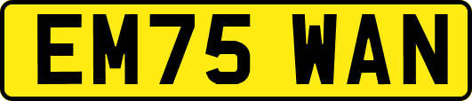 EM75WAN