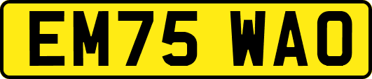 EM75WAO