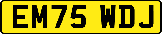 EM75WDJ