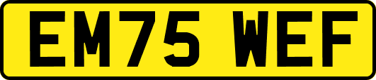 EM75WEF
