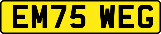EM75WEG