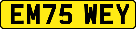 EM75WEY