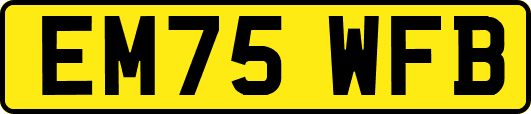 EM75WFB