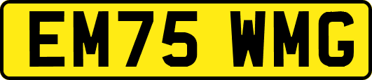 EM75WMG