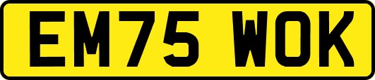 EM75WOK