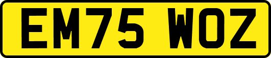 EM75WOZ