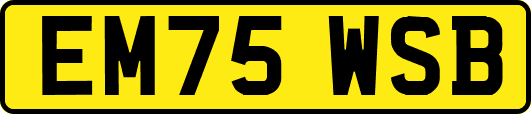 EM75WSB