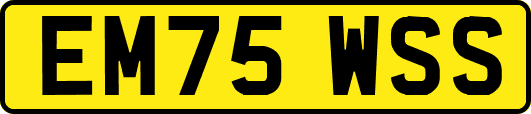 EM75WSS