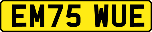 EM75WUE