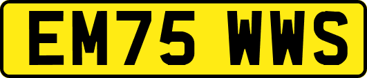 EM75WWS