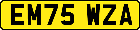EM75WZA