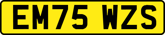 EM75WZS