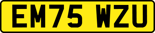 EM75WZU