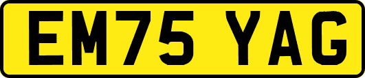 EM75YAG