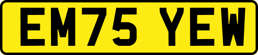 EM75YEW