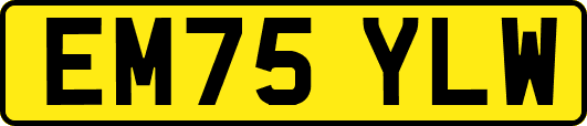 EM75YLW