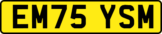 EM75YSM
