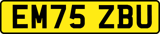 EM75ZBU