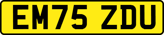 EM75ZDU