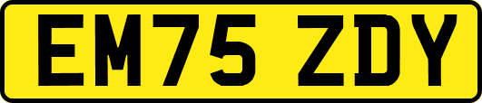 EM75ZDY