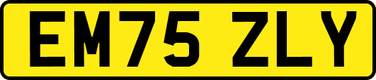 EM75ZLY