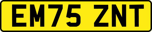 EM75ZNT