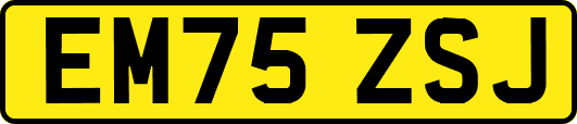 EM75ZSJ