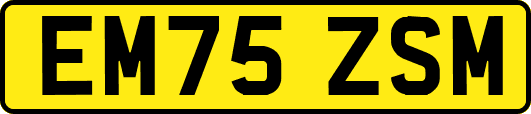 EM75ZSM