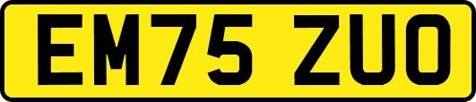 EM75ZUO