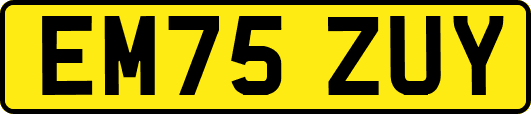 EM75ZUY
